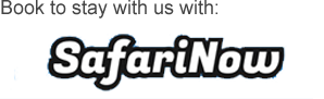 SafariNow Logo